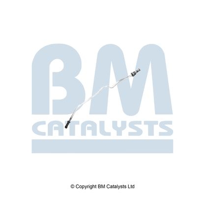 BM Catalysts Drukleiding (PP11322A)