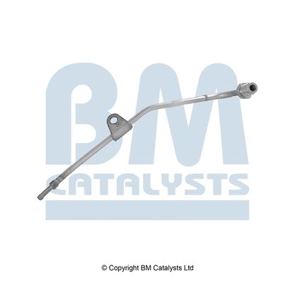 BM Catalysts Drukleiding (PP80563A)