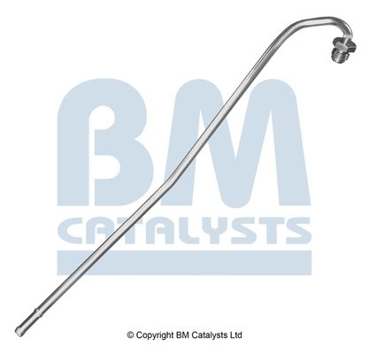 BM Catalysts Drukleiding (PP11052A)