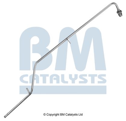 BM Catalysts Drukleiding (PP11137A)