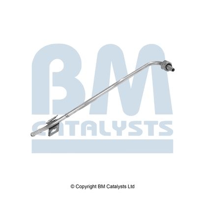 BM Catalysts Drukleiding (PP15068A)