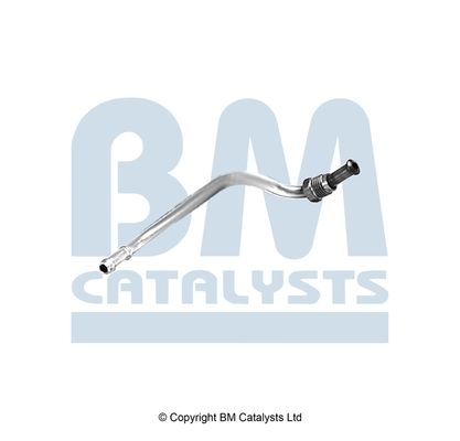 BM Catalysts Drukleiding (PP11183A)