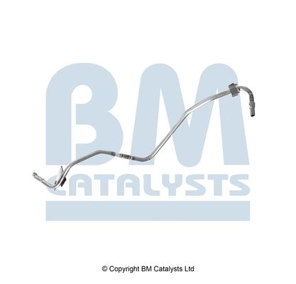 BM Catalysts Drukleiding (PP31201B)