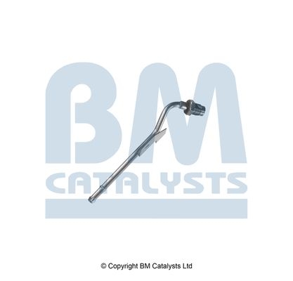 BM Catalysts Drukleiding (PP11783A)