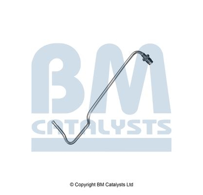 BM Catalysts Drukleiding (PP11785B)