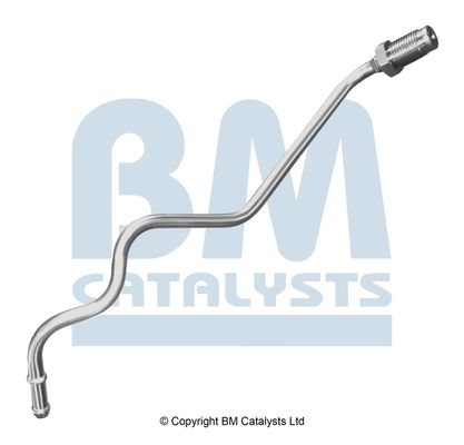 BM Catalysts Drukleiding (PP11640A)