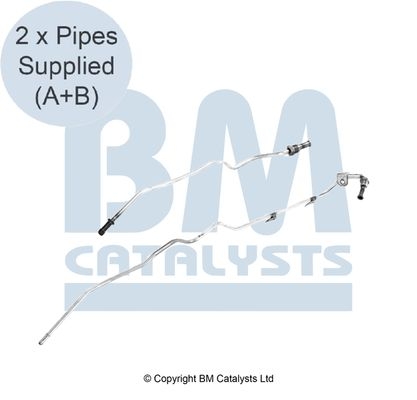 BM Catalysts Drukleiding (PP11322C)