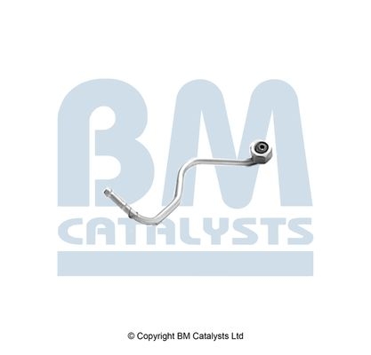 BM Catalysts Drukleiding (PP92647A)