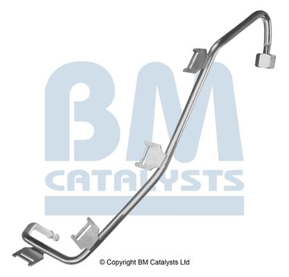 BM Catalysts Drukleiding (PP11245B)