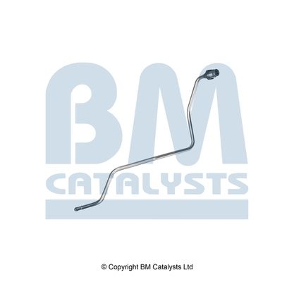 BM Catalysts Drukleiding (PP11784B)