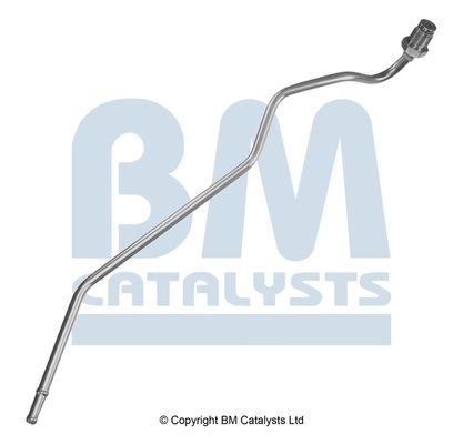 BM Catalysts Drukleiding (PP11594A)