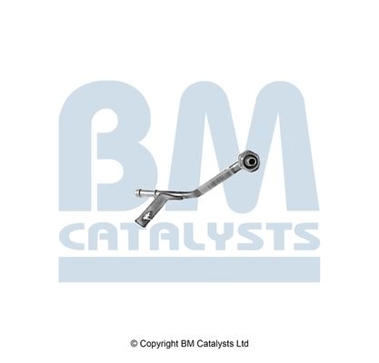 BM Catalysts Drukleiding (PP31201A)