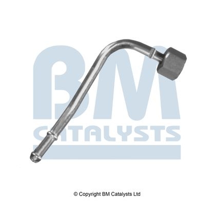 BM Catalysts Drukleiding (PP11079A)