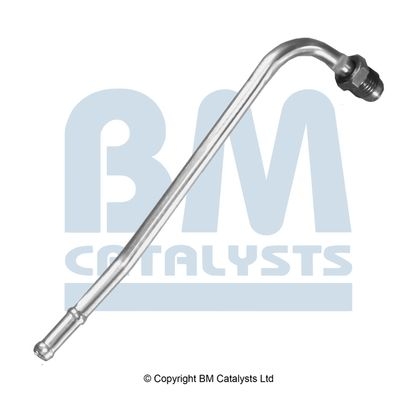 BM Catalysts Drukleiding (PP11074A)