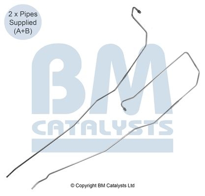 BM Catalysts Drukleiding (PP11091C)
