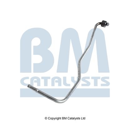 BM Catalysts Drukleiding (PP31282A)