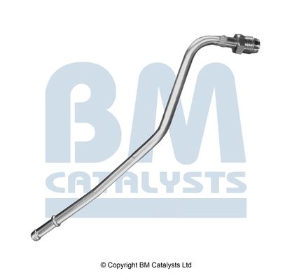 BM Catalysts Drukleiding (PP11411A)