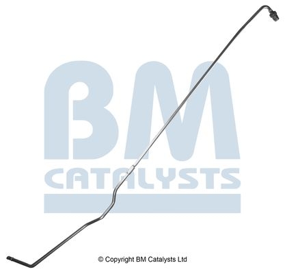 BM Catalysts Drukleiding (PP11117B)