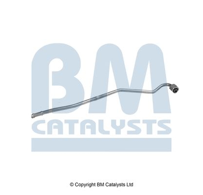 BM Catalysts Drukleiding (PP11666A)
