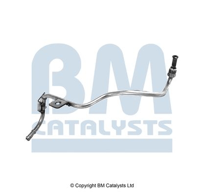 BM Catalysts Drukleiding (PP11183B)