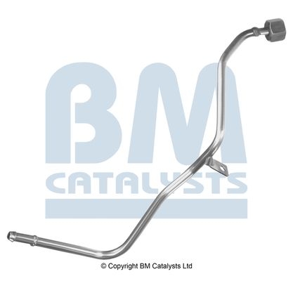 BM Catalysts Drukleiding (PP11070B)