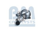 BM Catalysts Roetfilter (CAPI) (BM11040H)