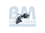 BM Catalysts Roetfilter (CAPI) (BM11115)