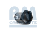 BM Catalysts Roetfilter (CAPI) (BM11138)