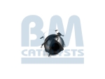 BM Catalysts Roetfilter (CAPI) (BM11038H)