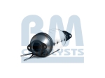 BM Catalysts Roetfilter (CAPI) (BM11006)