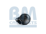 BM Catalysts Roetfilter (CAPI) (BM11008)