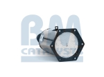 BM Catalysts Roetfilter (CAPI) (BM11002)