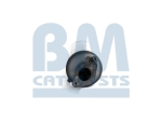 BM Catalysts Roetfilter (CAPI) (BM11089H)