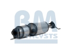 BM Catalysts Roetfilter (CAPI) (BM11085H)
