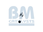 BM Catalysts Roetfilter (CAPI) (BM11102H)