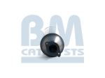 BM Catalysts Roetfilter (CAPI) (BM11089H)