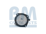 BM Catalysts Roetfilter (CAPI) (BM11004)