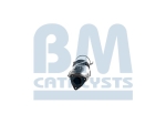 BM Catalysts Roetfilter (CAPI) (BM11102H)
