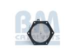 BM Catalysts Roetfilter (CAPI) (BM11002)