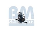 BM Catalysts Roetfilter (CAPI) (BM11181H)