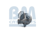 BM Catalysts Roetfilter (CAPI) (BM11033)