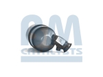 BM Catalysts Roetfilter (CAPI) (BM11103)