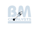 BM Catalysts Roetfilter (CAPI) (BM11102H)
