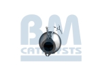 BM Catalysts Roetfilter (CAPI) (BM11110)