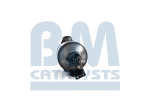 BM Catalysts Roetfilter (CAPI) (BM11029)