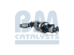 BM Catalysts Roetfilter (CAPI) (BM11461H)