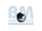 BM Catalysts Roetfilter (CAPI) (BM11022)