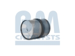 BM Catalysts Roetfilter (CAPI) (BM11103)