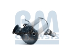 BM Catalysts Roetfilter (CAPI) (BM11041H)