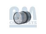BM Catalysts Roetfilter (CAPI) (BM11103)